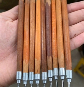 Cây Lấy Khóe Gỗ 2 Đầu