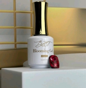 TOP Loang B281