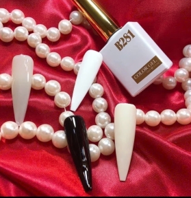 Sơn Gel Màu Trắng Đen B281